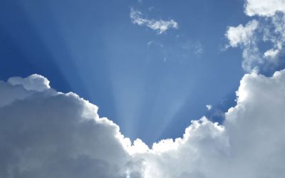 OPCO… Ou la réforme des OPCA : l&rsquo;horizon s&rsquo;éclaircit.